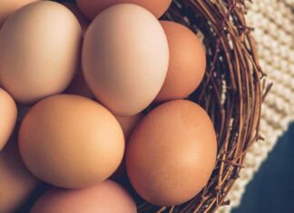 เดฒเดณเดฟเดคเดฎเดพเดฏ ‘เดซเตเดฒเตเดเตเดเต’ เดเตเดธเตเดฑเตเดฑเต เดเดชเดฏเตเดเดฟเดเตเดเต เดฎเตเดเตเด เดซเตเดฐเตเดทเต เดเดฃเต, เด
เดฒเตเดฒเดฏเต เดเดจเตเดจเต เดเดฃเตเดเตเดชเดฟเดเดฟเดเตเดเดพเด