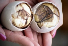 Balut: An Unappetizing Delicacy from The Philippines