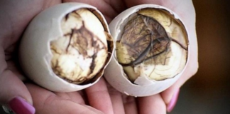 Balut: An Unappetizing Delicacy from The Philippines