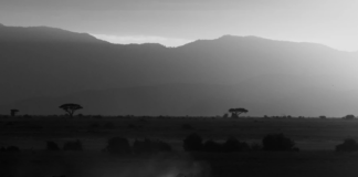 ലൈറ്റ്സോഴ്സ് ഫോട്ടോഗ്രഫി എക്സിബിഷൻ ആരംഭിച്ചു