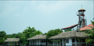 ‘ മാംഗോ മഡോസ് ‘ പൊതുജനങ്ങള്ക്കായി തുറന്നു