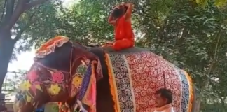 เดเดจเดชเตเดชเตเดฑเดคเตเดคเต เดฏเตเด เดเตเดฏเตเดค เดฌเดพเดฌ เดฐเดพเดเดฆเตเดตเตเดจเดฟเดฒเดคเตเดคเต เดตเตเดฃเต: เดตเตเดกเดฟเดฏเต เดตเตเดฑเดฒเตโ