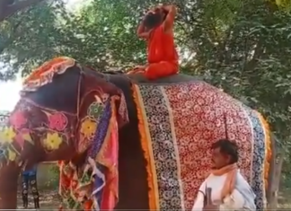 ആനപ്പുറത്ത് യോഗ ചെയ്ത ബാബ രാംദേവ്നിലത്തു വീണു: വീഡിയോ വൈറല്