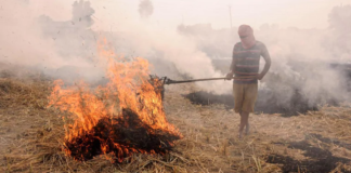 വായുമലിനീകരണം: തീയിടലിനെതിരെ സുപ്രീംകോടതി റിട്ട. ജഡ്ജിയെ ചുമതലപ്പെടുത്തി
