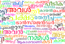 ഭരണഭാഷയായി മലയാളം ഉപയോഗിച്ചില്ലെങ്കില് കര്ശന നടപടികള് – മുഖ്യമന്ത്രി