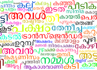ഭരണഭാഷയായി മലയാളം ഉപയോഗിച്ചില്ലെങ്കില് കര്ശന നടപടികള് – മുഖ്യമന്ത്രി