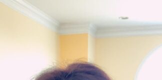 വേൾഡ് മലയാളി കൗൺസിൽ പെൻസിൽവേനിയ പ്രൊവിൻസിനു അമേരിക്കൻ റീജണൽ തെരഞ്ഞെടുപ്പിൽ പൊൻതിളക്കം