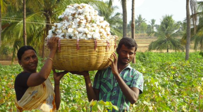 เดฏเตเดเดธเตเด เดชเดพเดเดฟเดธเตเดฅเดพเดจเตเด เดชเดฐเตเดคเตเดคเดฟเดฏเตเดเต เดจเดทเตเดเด : เดเดฏเดฑเตเดฑเตเดฎเดคเดฟ เดตเดฐเตโเดฆเตเดงเดฟเดเตเดเตเดฎเตเดจเตเดจเต เดเดจเตเดคเตเดฏเดจเตโ เดตเตเดฏเดพเดชเดพเดฐเดฟเดเดณเตโ