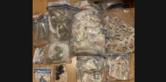 ബ്ലിറ്റ്സ് ഡബ്ലിനില് നിന്നും 300 കിലോ മയക്കുമരുന്നുമായി ഒരാളെ അറസ്റ്റുചെയ്തു