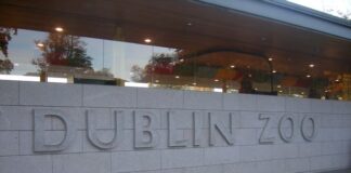 ഡബ്ലിനിലെ മൃഗശാലയിലെ മൃഗസംരക്ഷണത്തിന് സര്ക്കാര് 1.6 മില്ല്യണ് യൂറോ ധനസഹായം