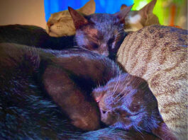 เดเดเตเดเดฟเดเตเดเตเดฐเตโเดจเตเดจเตโ เดเดจเดฟเดเตเด เด
เดเตเดเต เดชเตเดเตเด เดเตเดเตเดเดฟเดเดณเตโเดเตเดเต เดถเดธเตเดคเตเดฐเดเตเดฐเดฟเดฏเดฏเดฟเดฒเตเดเต เดชเตเดจเดฐเตโเดเดจเตเดฎเด