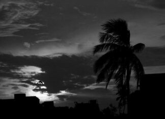 ബുറെവി ചുഴലിക്കാറ്റ് ശ്രീലങ്കന് തീരം തൊട്ടു; കേരളത്തില് അടുത്ത മൂന്ന് മണിക്കൂറില് കനത്ത മഴ