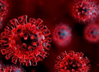 സംസ്ഥാനത്ത് ഇന്ന് 5960 പേർക്ക് കൊവിഡ് സ്ഥിരീകരിച്ചു