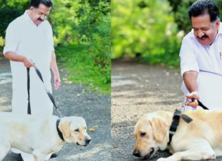 കാഴ്ച ശക്തി ഇല്ലാത്ത തന്റെ വളത്തുനായയെ കുറിച്ച് പങ്കുവെച്ച് രമേശ് ചെന്നിത്തല
