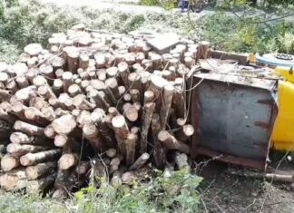 പെരുമ്പാവൂര് വളയന്ചിറങ്ങരയില് തടി ലോറി കനാലിലേക്ക് മറിഞ്ഞ് ഡ്രൈവര് മരിച്ചു