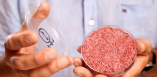 เดเดจเดฟ เดธเดฟเดเดเดชเตเดชเตเดฐเตโเดเตเดเดพเดฐเตโ ‘เดฒเดพเดฌเดฟเดฒเต เดเตเดฐเดฟเดคเตเดฐเดฟเดฎ เดฎเดพเดเดธเด’ เดเดดเดฟเดเตเดเตเด