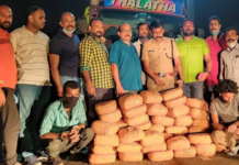 മുത്തങ്ങയില് നിന്ന് ഒരു കോടി വിലവരുന്ന കഞ്ചാവ് വേട്ട നടത്തി