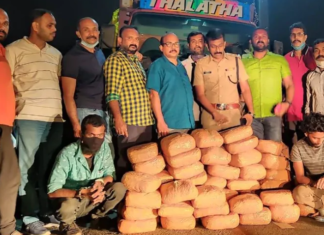 മുത്തങ്ങയില് നിന്ന് ഒരു കോടി വിലവരുന്ന കഞ്ചാവ് വേട്ട നടത്തി