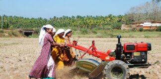 തദ്ദേശസ്വയംഭരണ സ്ഥാപനങ്ങള്ക്ക് അടുത്ത അഞ്ചുവര്ഷത്തേക്ക് ഒരുകോടി രൂപ