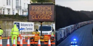 เดเตเดตเดฟเดกเต เดตเดเดญเตเดฆเด เดฒเตเดเดคเตเดคเต เดฎเตเดดเตเดตเดจเตโ เดตเตเดฏเดพเดชเดฟเดเตเดเตเดจเตเดจเตเดตเตเดจเตเดจเต เดธเดเดถเดฏเด