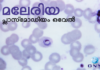 അപൂര്വ്വ മലേരിയ രോഗാണുവിനെ കേരളത്തില് ആദ്യമായി കണ്ടെത്തി