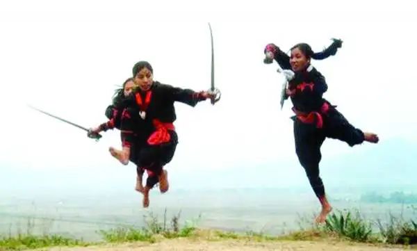 n238032306ca7d135a9a5ccc3ecb27764a2c35262787a12291ac0aa94243555a2954c45de7