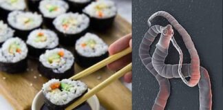 เดชเดดเดเดฟเดฏ เดธเตเดทเดฟ เดเดดเดฟเดเตเดเต : เดฏเตเดตเดคเดฟเดฏเตเดเต เดตเดฏเดฑเตเดฑเดฟเดฒเตโ เดเดจเตโเดชเดคเต เดฎเดพเดธเดฎเดพเดฏเดฟ เดตเดณเดฐเตเดจเตเดจ เดจเดพเดเดตเดฟเดฐ