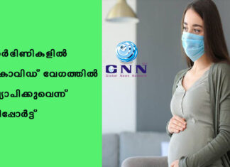 เดเตผเดญเดฟเดฃเดฟเดเดณเดฟเตฝ เดเตเดตเดฟเดกเต เดตเตเดเดคเตเดคเดฟเตฝ เดตเตเดฏเดพเดชเดฟเดเตเดเตเดตเตเดจเตเดจเต เดฑเดฟเดชเตเดชเตเตผเดเตเดเต