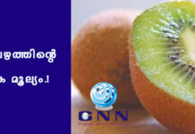 കിവി പഴത്തിന്റെ പോഷക മൂല്യം.!