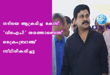 നടിയെ ആക്രമിച്ച കേസ്; ‘വിഐപി’ ശരത്താണെന്ന് ക്രൈംബ്രാഞ്ച് സ്ഥിരീകരിച്ചു