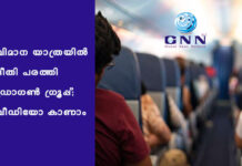 വിമാന യാത്രയിൽ ഭീതി പരത്തി ഡ്രാഗൺ ഗ്രൂപ്പ്; വീഡിയോ കാണാം