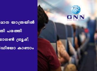 വിമാന യാത്രയിൽ ഭീതി പരത്തി ഡ്രാഗൺ ഗ്രൂപ്പ്; വീഡിയോ കാണാം