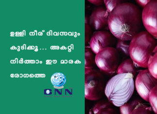 ഉള്ളി നീര് ദിവസവും കുടിക്കൂ… അകറ്റി നിര്ത്താം ഈ മാരക രോഗത്തെ