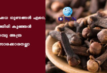 ഔഷധ ഗുണങ്ങൾ ഏറെ, ഇത്തിരി കുഞ്ഞന് ഗ്രാമ്പു അത്ര നിസാരക്കാരനല്ലാ