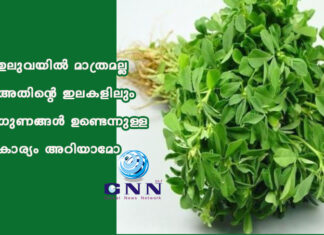 เดเดฒเตเดตเดฏเดฟเตฝ เดฎเดพเดคเตเดฐเดฎเดฒเตเดฒ เด
เดคเดฟเดจเตเดฑเต เดเดฒเดเดณเดฟเดฒเตเด เดเตเดฃเดเตเดเตพ เดเดฃเตเดเตเดจเตเดจเตเดณเตเดณ เดเดพเดฐเตเดฏเด เด
เดฑเดฟเดฏเดพเดฎเต