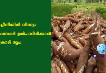 മരച്ചീനിയില് നിന്നും എഥനോള് ഉല്പാദിപ്പിക്കാന് 2 കോടി രൂപ