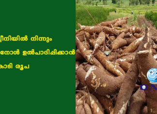 മരച്ചീനിയില് നിന്നും എഥനോള് ഉല്പാദിപ്പിക്കാന് 2 കോടി രൂപ