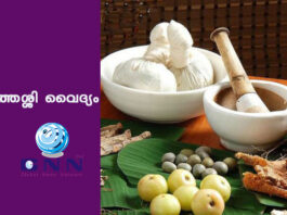 മുത്തശ്ശി വൈദ്യം