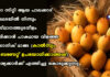 മംഗോ സിറ്റി ആയ പാലക്കാട് മുതലമടയിൽ നിന്നും സംസ്ഥാനത്തുടനീളം പഴുപ്പിക്കാൻ പാകമായ വിളഞ്ഞ ഓർഗാനിക് മാങ്ങ (കാൽസ്യം കാർബണേറ്റ് ഉപയോഗിക്കാത്തത്) ആവശ്യക്കാർക്ക് എത്തിച്ചു കൊടുക്കുന്നു