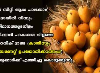 เดฎเดเดเต เดธเดฟเดฑเตเดฑเดฟ เดเดฏ เดชเดพเดฒเดเตเดเดพเดเตโ เดฎเตเดคเดฒเดฎเดเดฏเดฟเตฝ เดจเดฟเดจเตเดจเตเด เดธเดเดธเตเดฅเดพเดจเดคเตเดคเตเดเดจเตเดณเด เดชเดดเตเดชเตเดชเดฟเดเตเดเดพเตป เดชเดพเดเดฎเดพเดฏ เดตเดฟเดณเดเตเด เดเตผเดเดพเดจเดฟเดเต เดฎเดพเดเตเด (เดเดพเตฝเดธเตเดฏเด เดเดพเตผเดฌเดฃเตเดฑเตเดฑเต เดเดชเดฏเตเดเดฟเดเตเดเดพเดคเตเดคเดคเต) เดเดตเดถเตเดฏเดเตเดเดพเตผเดเตเดเต เดเดคเตเดคเดฟเดเตเดเต เดเตเดเตเดเตเดเตเดจเตเดจเต