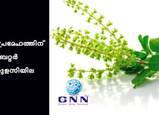 പ്രേമേഹത്തിന് ബെറ്റർ തുളസിയില