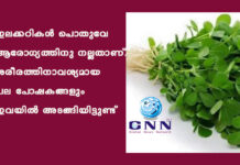 ഇലക്കറികള് പൊതുവേ ആരോഗ്യത്തിനു നല്ലതാണ്. ശരീരത്തിനാവശ്യമായ പല പോഷകങ്ങളും ഇവയില് അടങ്ങിയിട്ടുണ്ട്