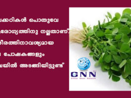 ഇലക്കറികള് പൊതുവേ ആരോഗ്യത്തിനു നല്ലതാണ്. ശരീരത്തിനാവശ്യമായ പല പോഷകങ്ങളും ഇവയില് അടങ്ങിയിട്ടുണ്ട്