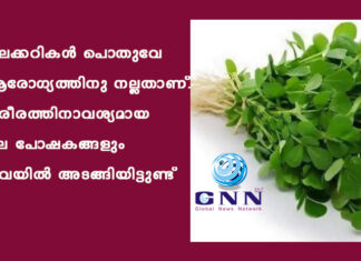 ഇലക്കറികള് പൊതുവേ ആരോഗ്യത്തിനു നല്ലതാണ്. ശരീരത്തിനാവശ്യമായ പല പോഷകങ്ങളും ഇവയില് അടങ്ങിയിട്ടുണ്ട്