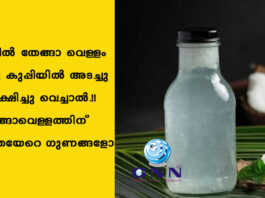 വീട്ടിൽ തേങ്ങാ വെള്ളം ഒരു കുപ്പിയിൽ അടച്ചു സൂക്ഷിച്ചു വെച്ചാൽ.!! തേങ്ങാവെള്ളത്തിന് ഇത്രയേറെ ഗുണങ്ങളോ
