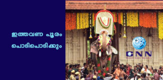 เดเดคเตเดคเดตเดฃ เดชเตเดฐเด เดชเตเดเดฟเดชเตเดเดฟเดเตเดเตเด