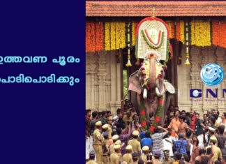 ഇത്തവണ പൂരം പൊടിപൊടിക്കും