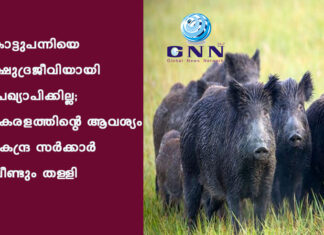 കാട്ടുപന്നിയെ ക്ഷുദ്രജീവിയായി പ്രഖ്യാപിക്കില്ല; കേരളത്തിന്റെ ആവശ്യം കേന്ദ്ര സർക്കാർ വീണ്ടും തള്ളി