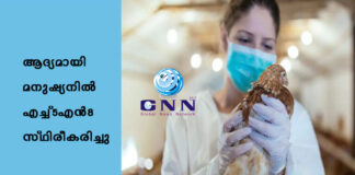 เดเดฆเตเดฏเดฎเดพเดฏเดฟ เดฎเดจเตเดทเตเดฏเดจเดฟเตฝ เดเดเตเดเต5เดเตป8 เดธเตเดฅเดฟเดฐเตเดเดฐเดฟเดเตเดเต