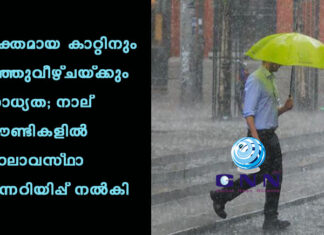 ശക്തമായ കാറ്റിനും മഞ്ഞുവീഴ്ചയ്ക്കും സാധ്യത; നാല് കൗണ്ടികളിൽ കാലാവസ്ഥാ മുന്നറിയിപ്പ് നൽകി